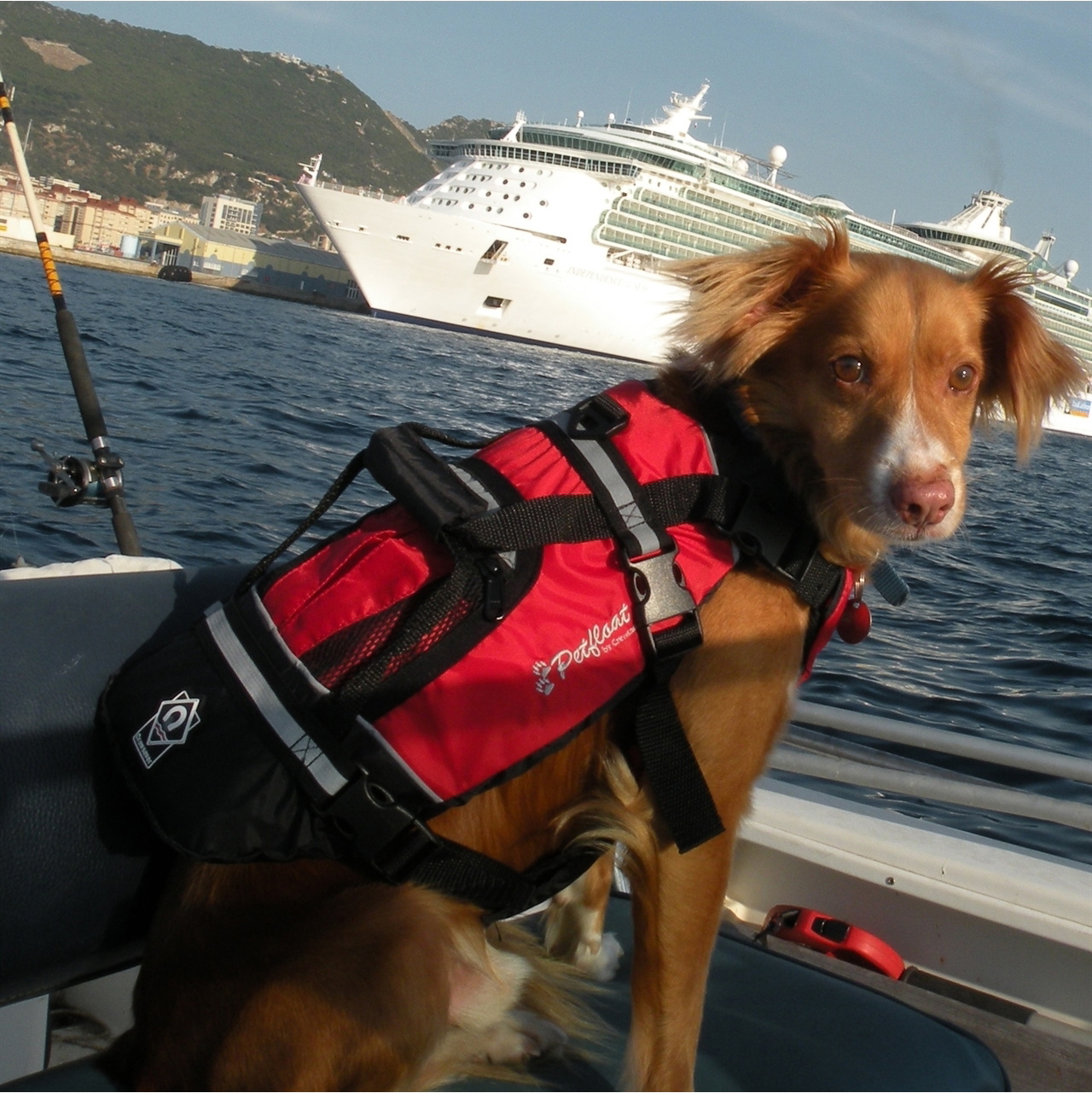2026 Crewsaver Pet Hund / Kat Redningsvest Float 2370 - Red