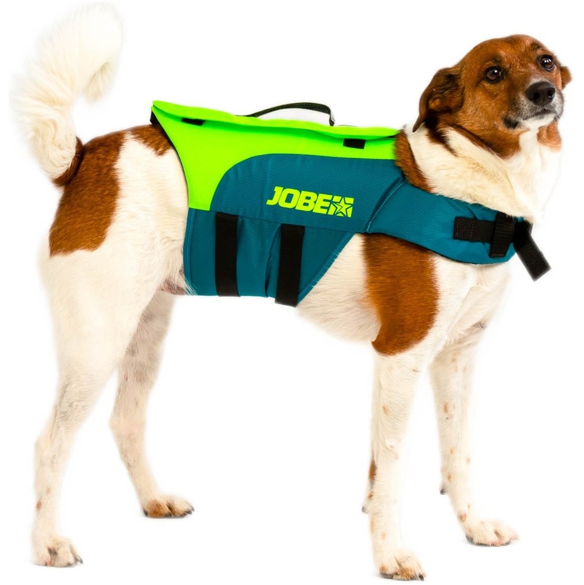 2026 Jobe Kasketvest 240023001 - Krikand