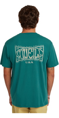 2026 ONeill Herre Kasse Logo T-shirt 2850353 - Botanical Heat