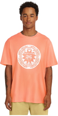 2026 ONeill Herre Må-have Grafisk T-Shirt 2850368 - Funky Peach