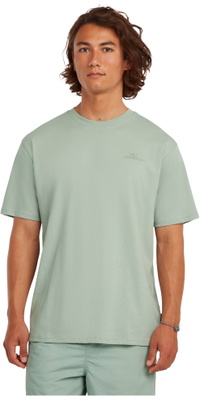 2026 O'Neill Herre Lille Logo T-Shirt 2850371 - Marble Arch
