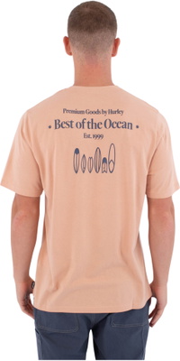 2026 Hurley Herre Trykpress Biriri T-shirt MTSEUED0002619 - Beach Clay